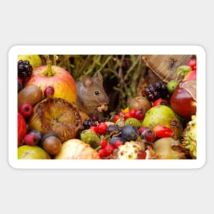 Autumn wild mouse with natures bounty Sticker